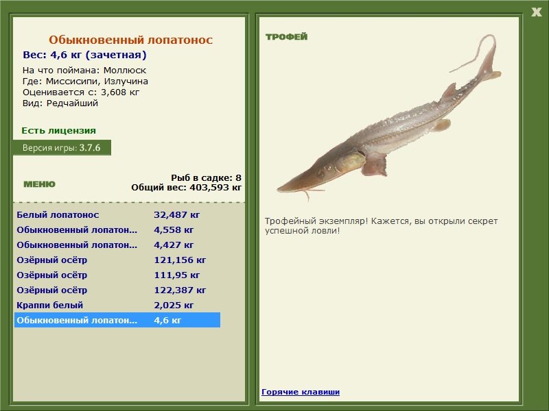 Излучина 