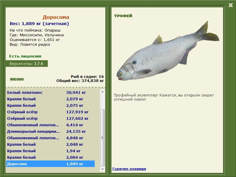 Излучина 