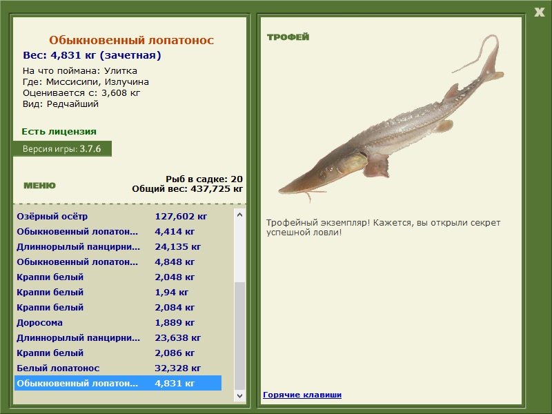 Излучина 
