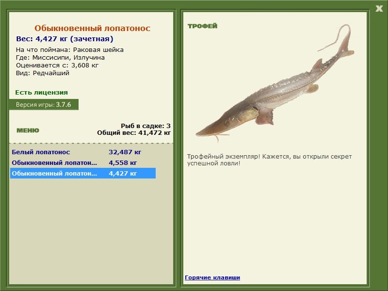 Излучина 