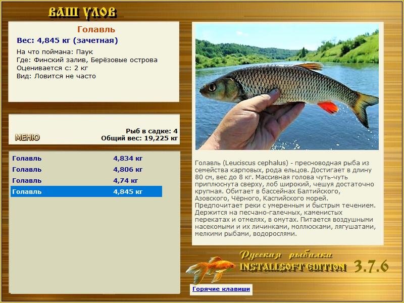 РУССКАЯ РЫБАЛКА Installsoft Edition 