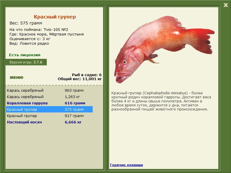 турниры • РУССКАЯ РЫБАЛКА