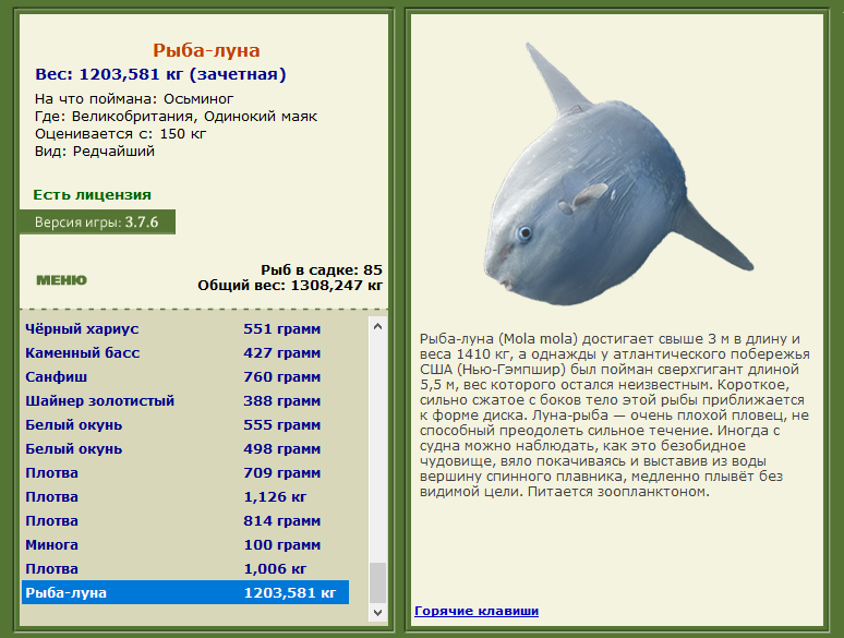 РУССКАЯ РЫБАЛКА Installsoft Edition 