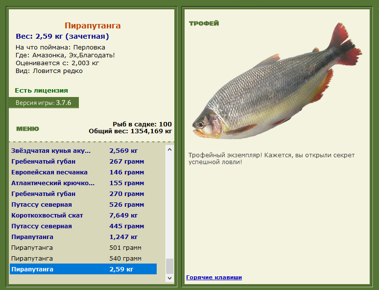 Пирапутанга 