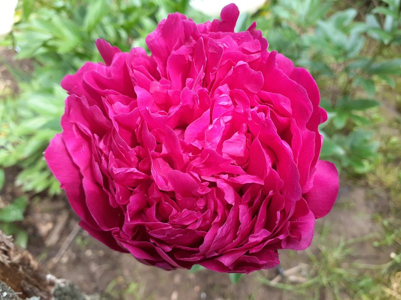 Немного излишков растюх.