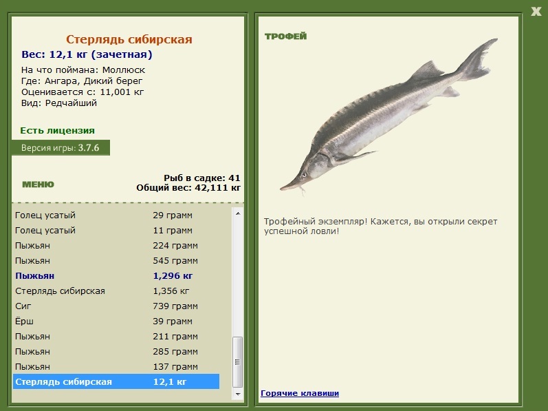 Дикий берег 