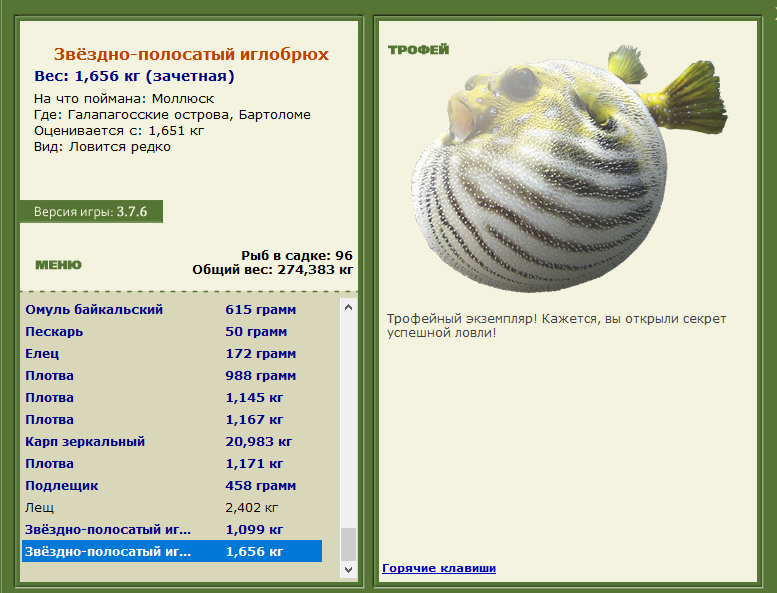 полосатый иглобрюх • Рыбы • РУССКАЯ РЫБАЛКА