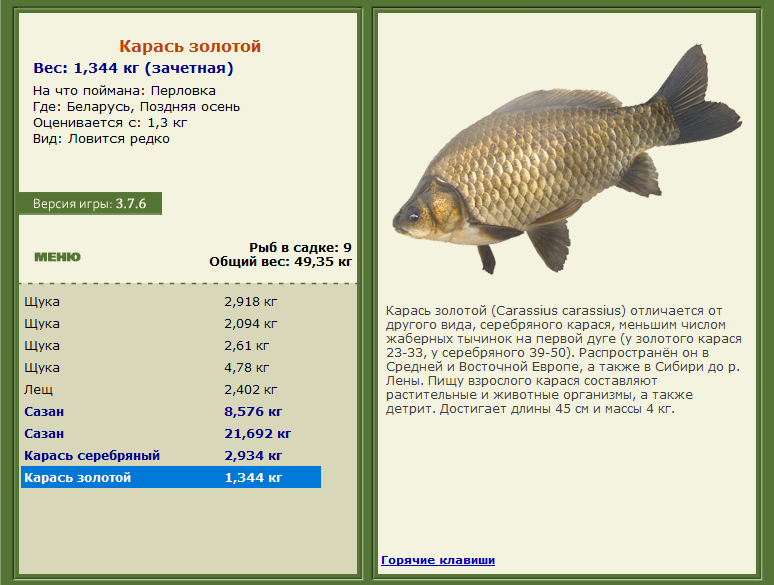 РУССКАЯ РЫБАЛКА Installsoft Edition 
