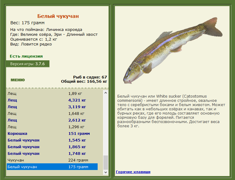 РУССКАЯ РЫБАЛКА Installsoft Edition 