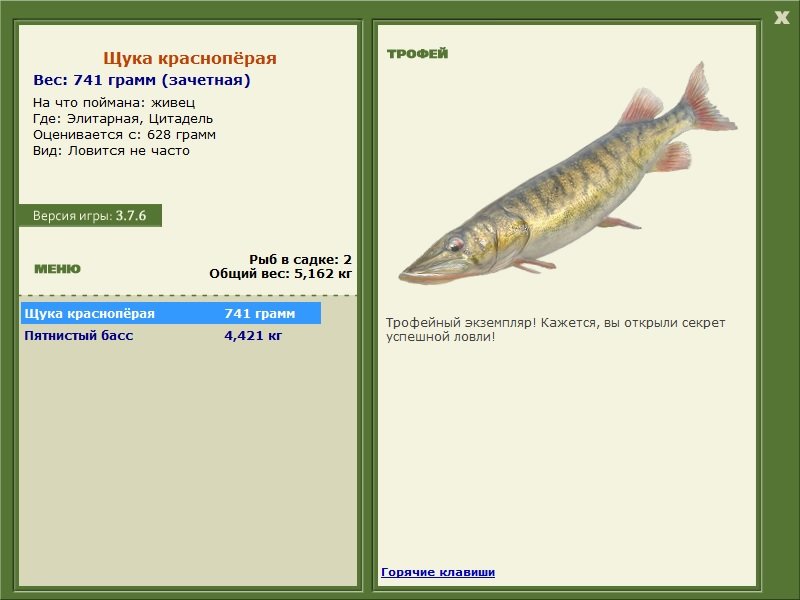 Щука краснопёрая 