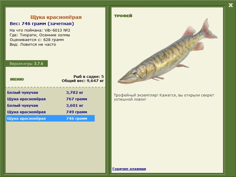 Щука краснопёрая 