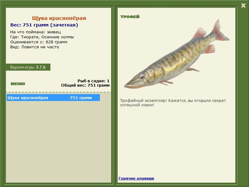 Щука краснопёрая 