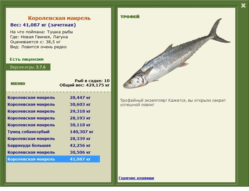 Kоролевская макрель 