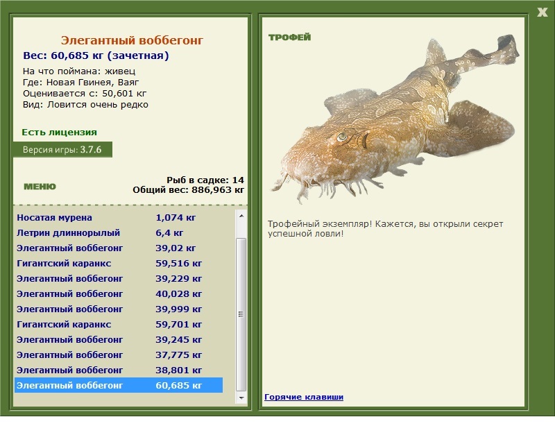 Элегантный воббегонг 