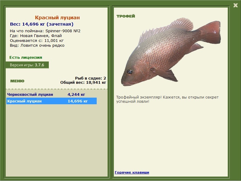 Красный луциан 