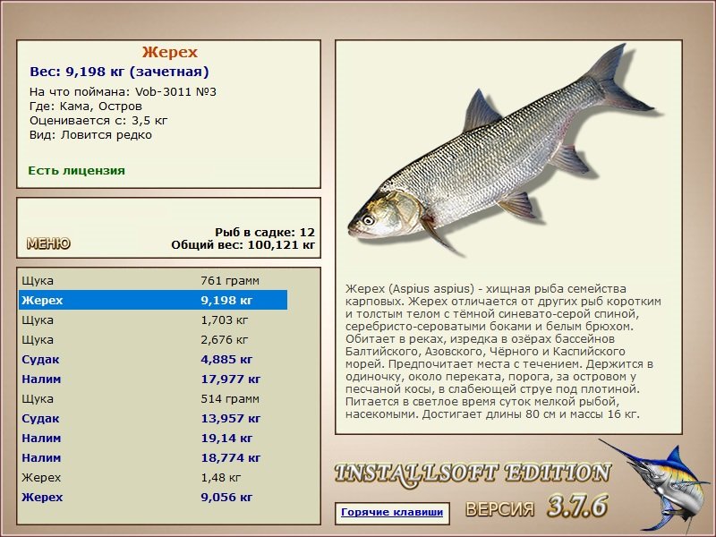 Остров 