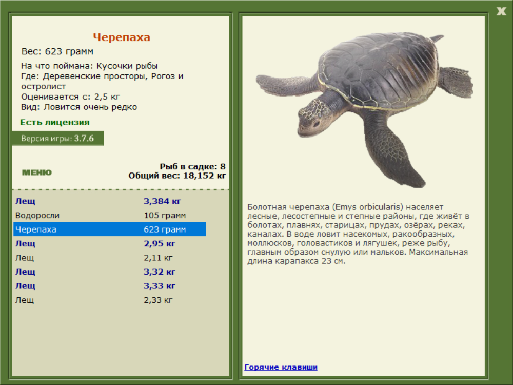 Рогоз и остролист 