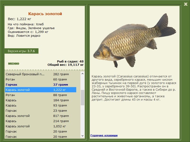 турниры • РУССКАЯ РЫБАЛКА