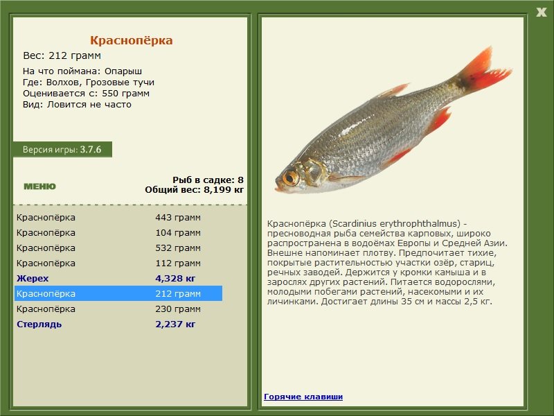 РУССКАЯ РЫБАЛКА Installsoft Edition 