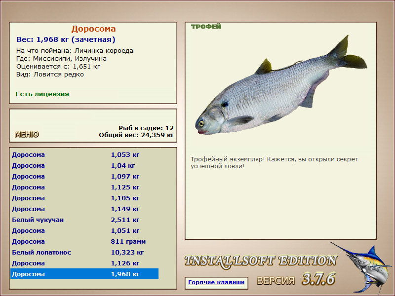 Излучина 