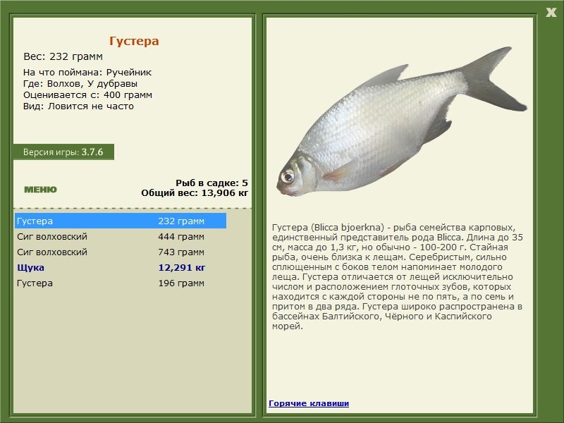 турниры • РУССКАЯ РЫБАЛКА