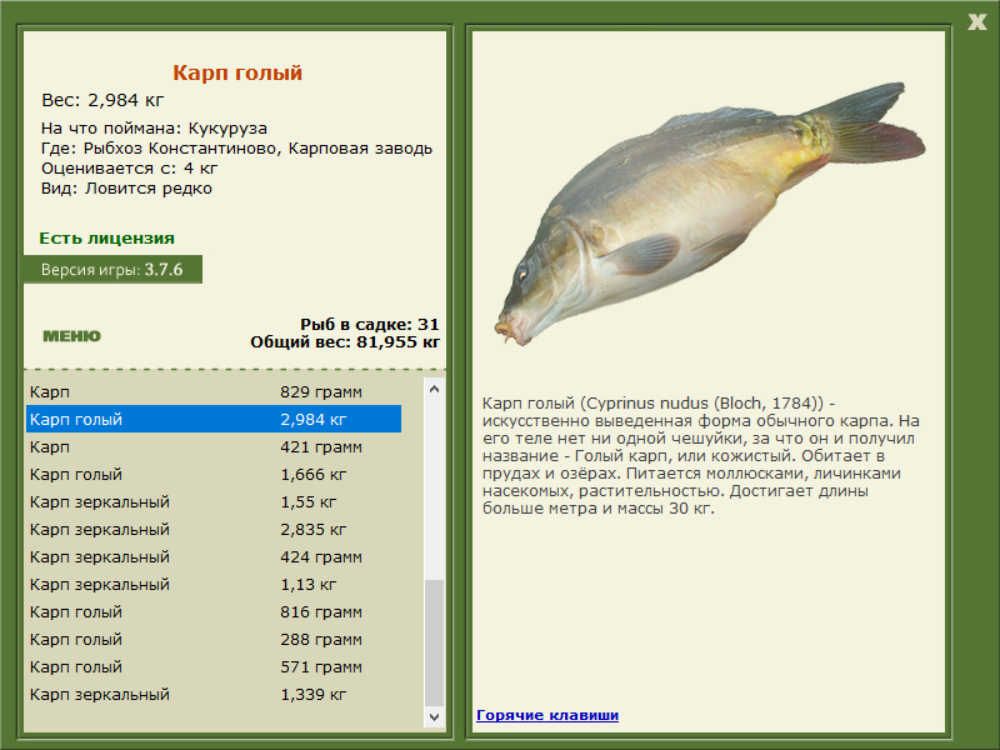 Рыбхоз Константиново 