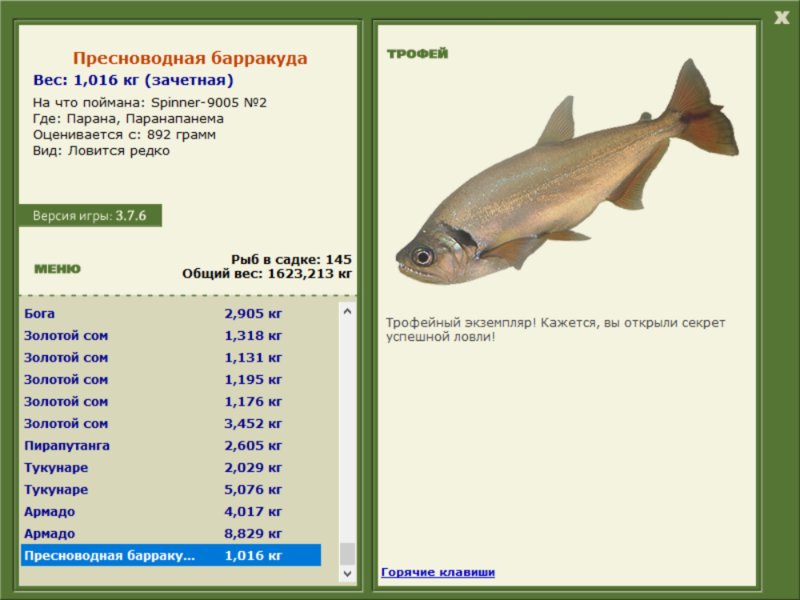 Паранапанема 