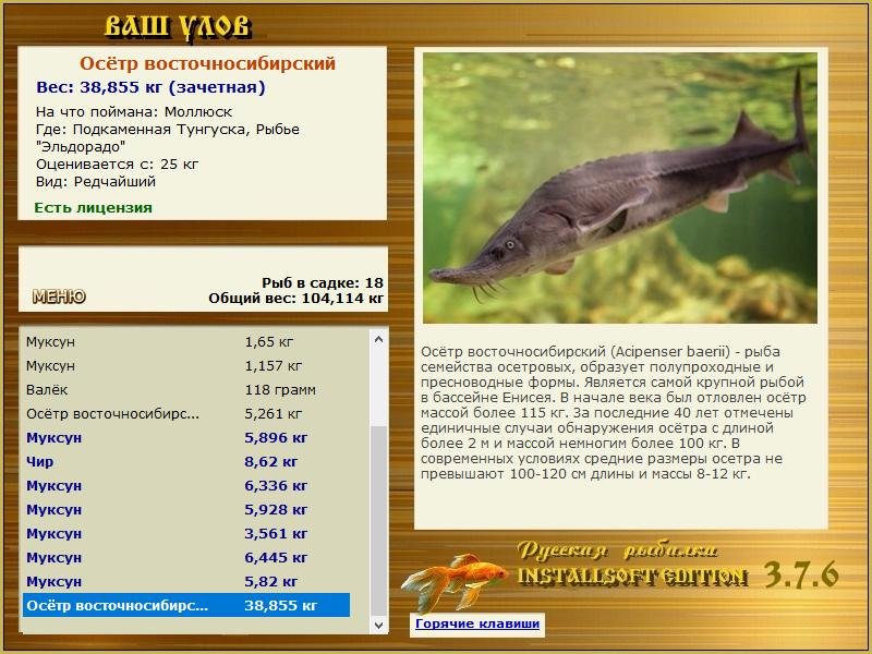 РУССКАЯ РЫБАЛКА Installsoft Edition 