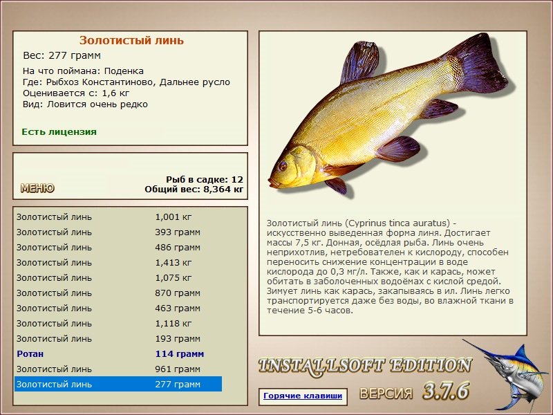 Дальнее русло 