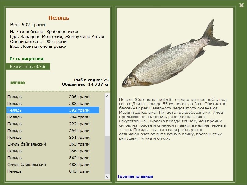 РУССКАЯ РЫБАЛКА Installsoft Edition 