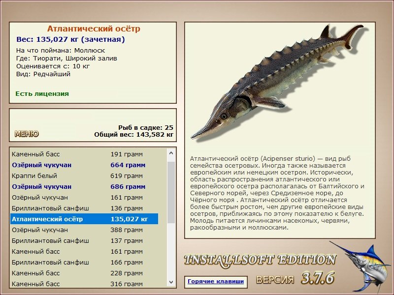 Широкий залив 