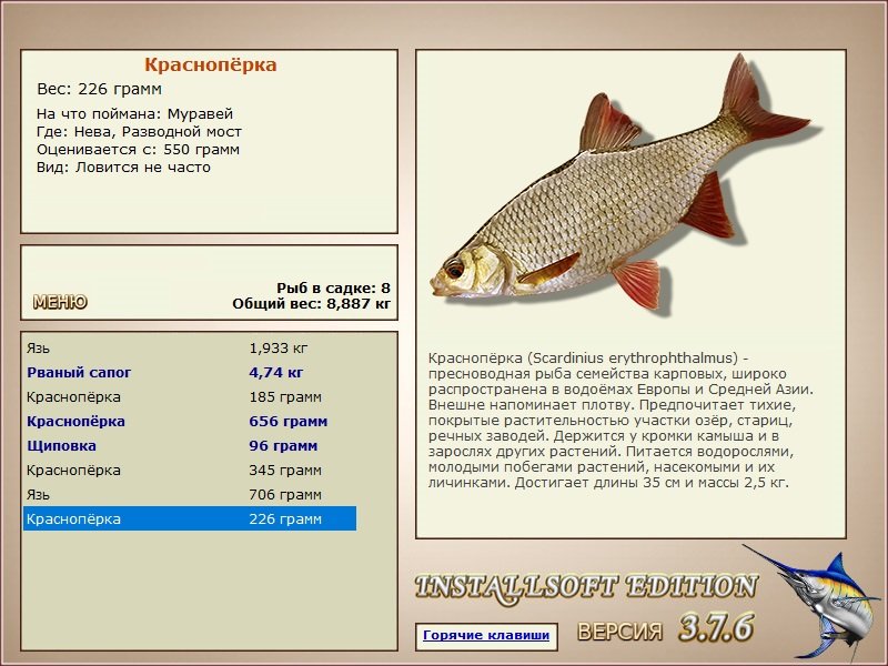 Разводной мост 
