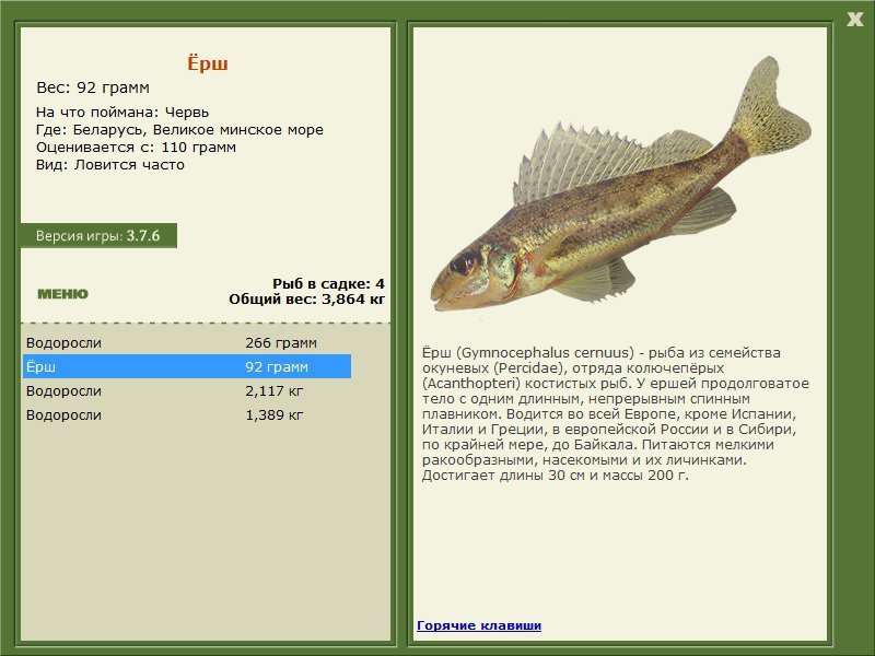 Великое минское море 