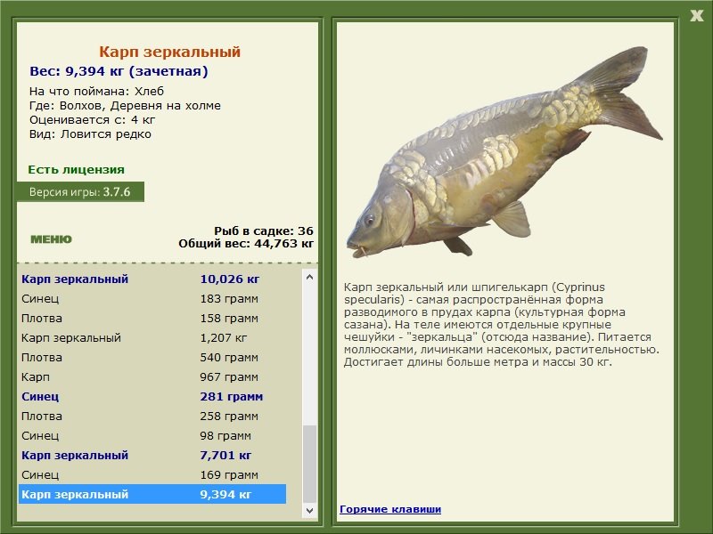 турниры • РУССКАЯ РЫБАЛКА