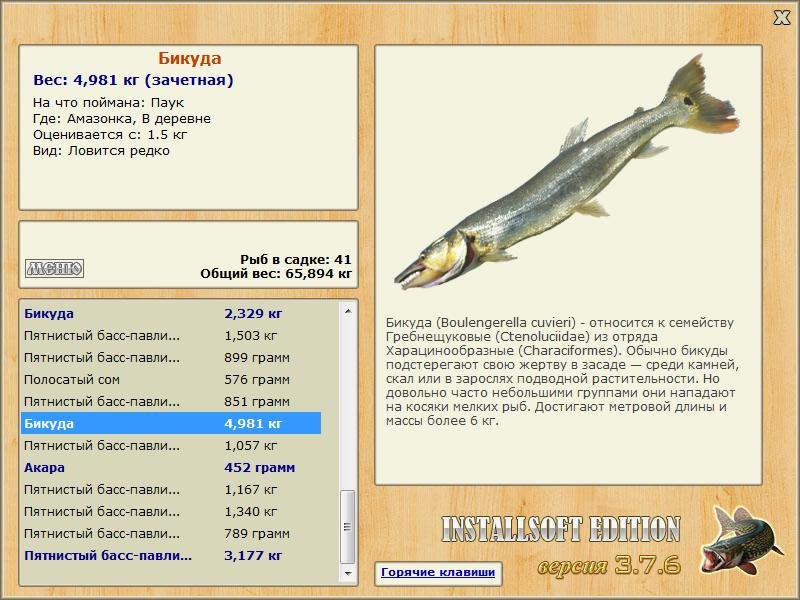В деревне 