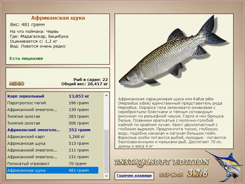 Бецибука 