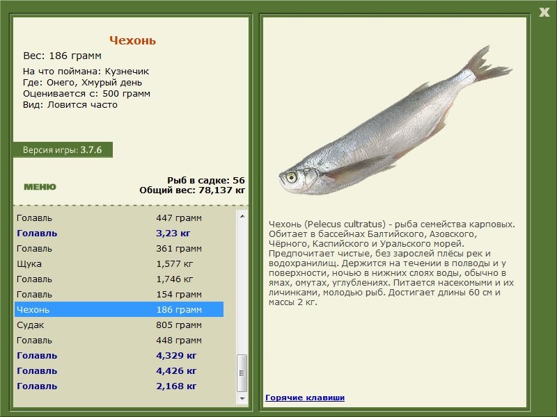 турниры • РУССКАЯ РЫБАЛКА