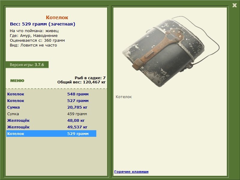 Наводнение 