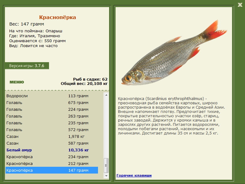 Тразимено 