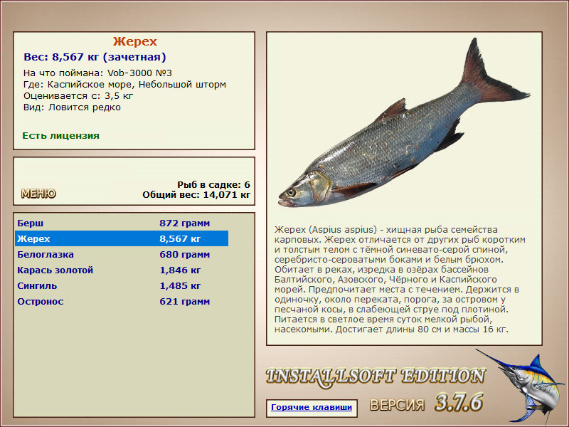 Каспийское море 