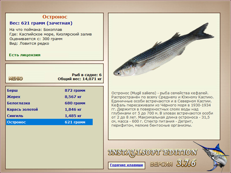 Каспийское море 