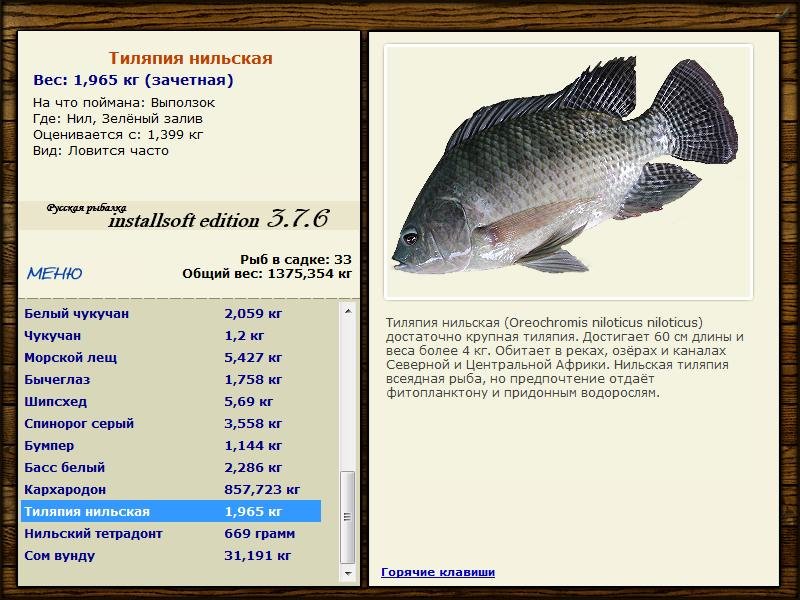 Зелёный залив 