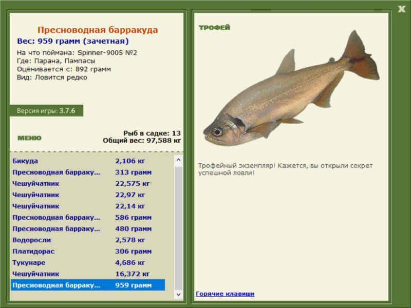 Пампасы 