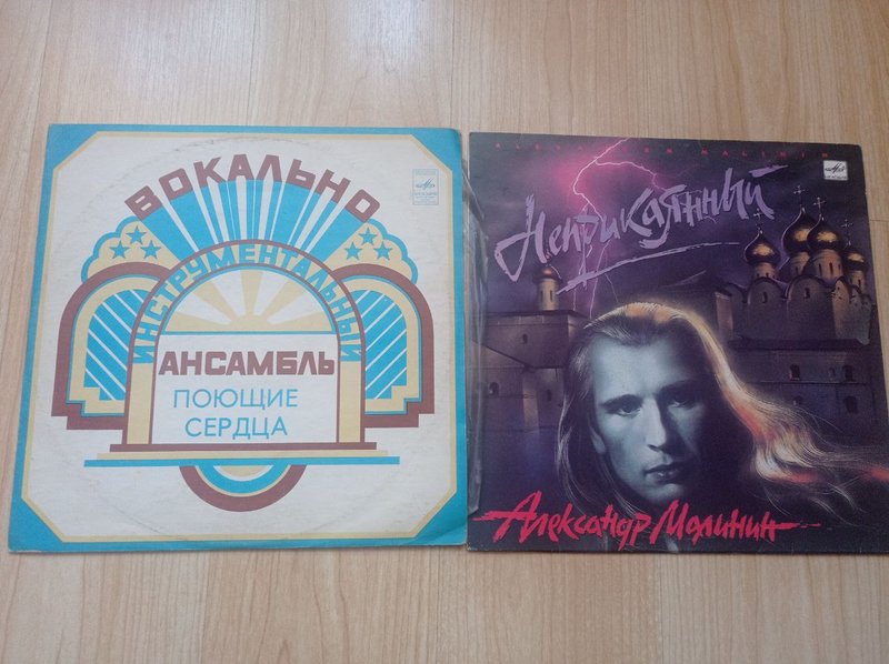 Наши виниловые приобретения.