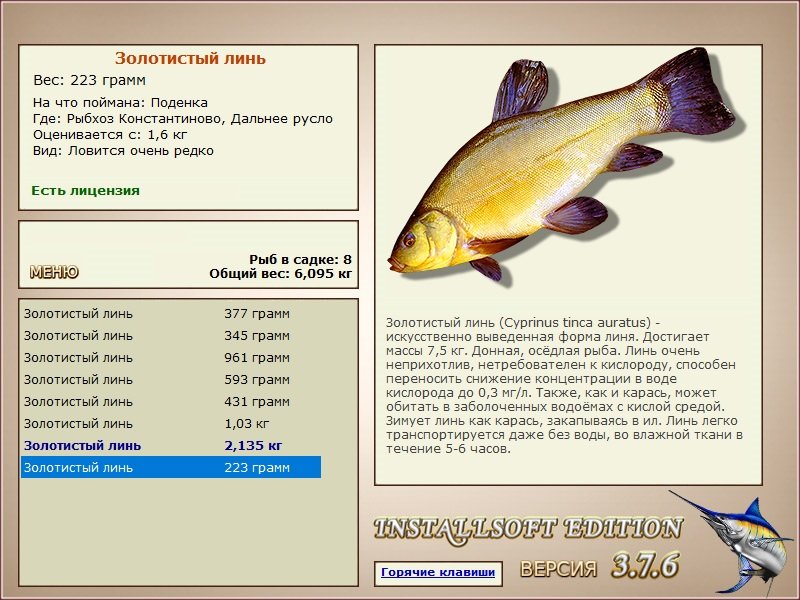 Дальнее русло 