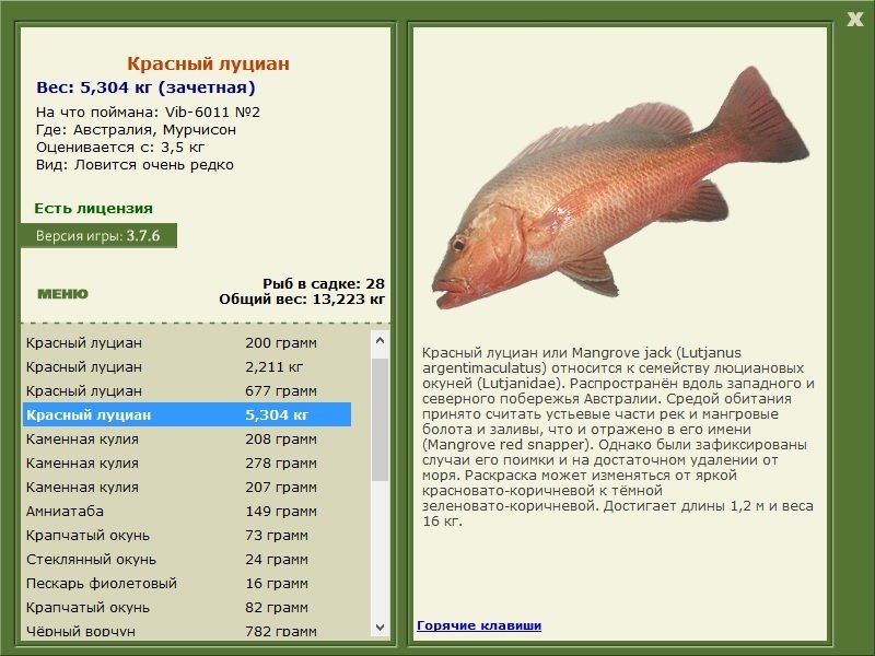 Австралия 