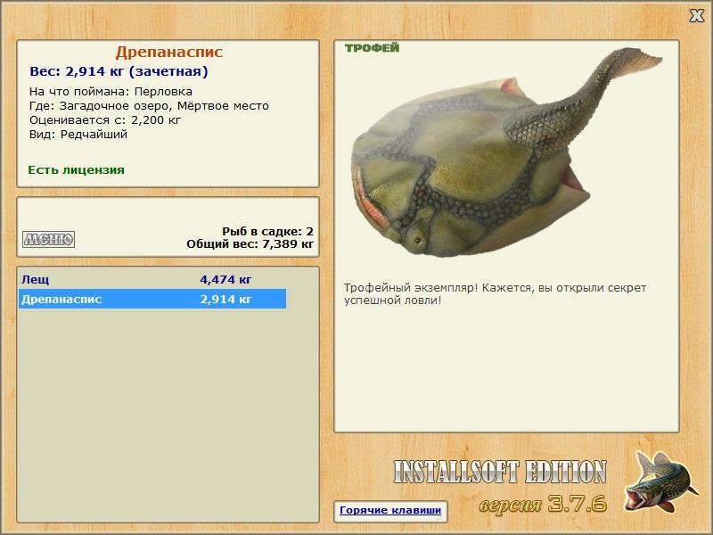 Мёртвое место 