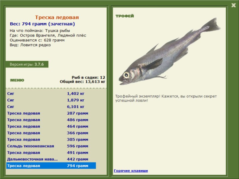 Треска ледовая 