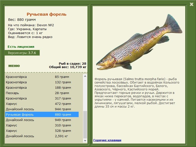 турниры • РУССКАЯ РЫБАЛКА