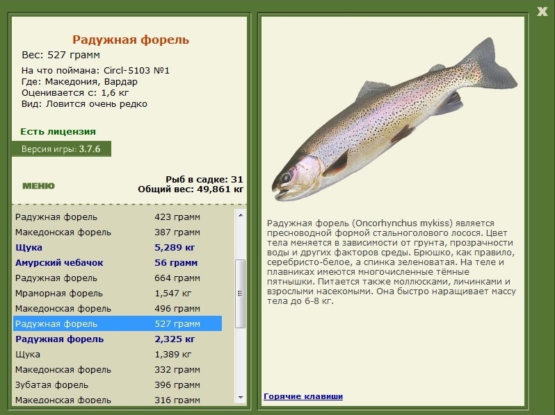 турниры • РУССКАЯ РЫБАЛКА